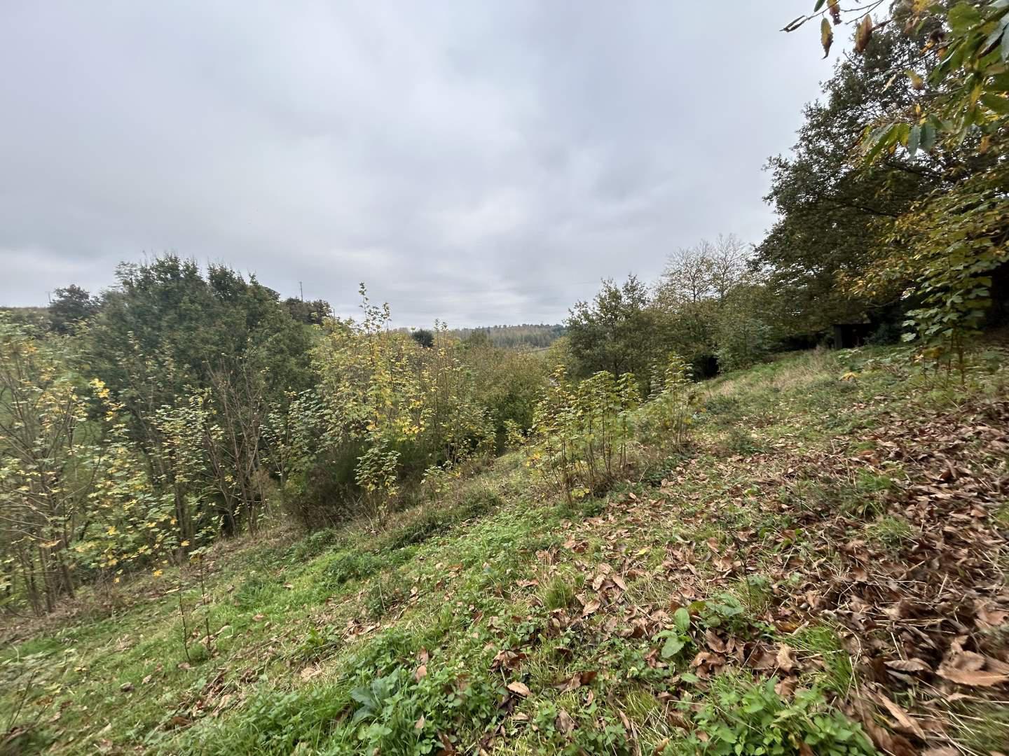 Bien divers à vendre CHATEAU GONTIER SUR MAYENNE