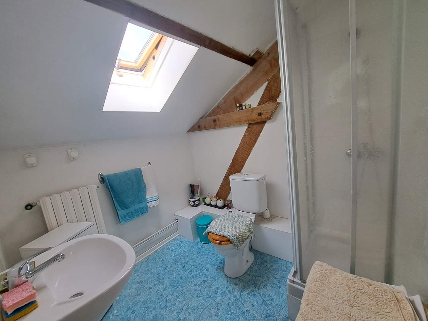 Maison à vendre La Selle-Craonnaise