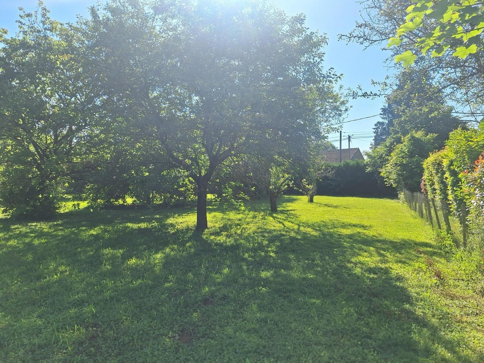 Terrain à vendre Savigné-l'Évêque