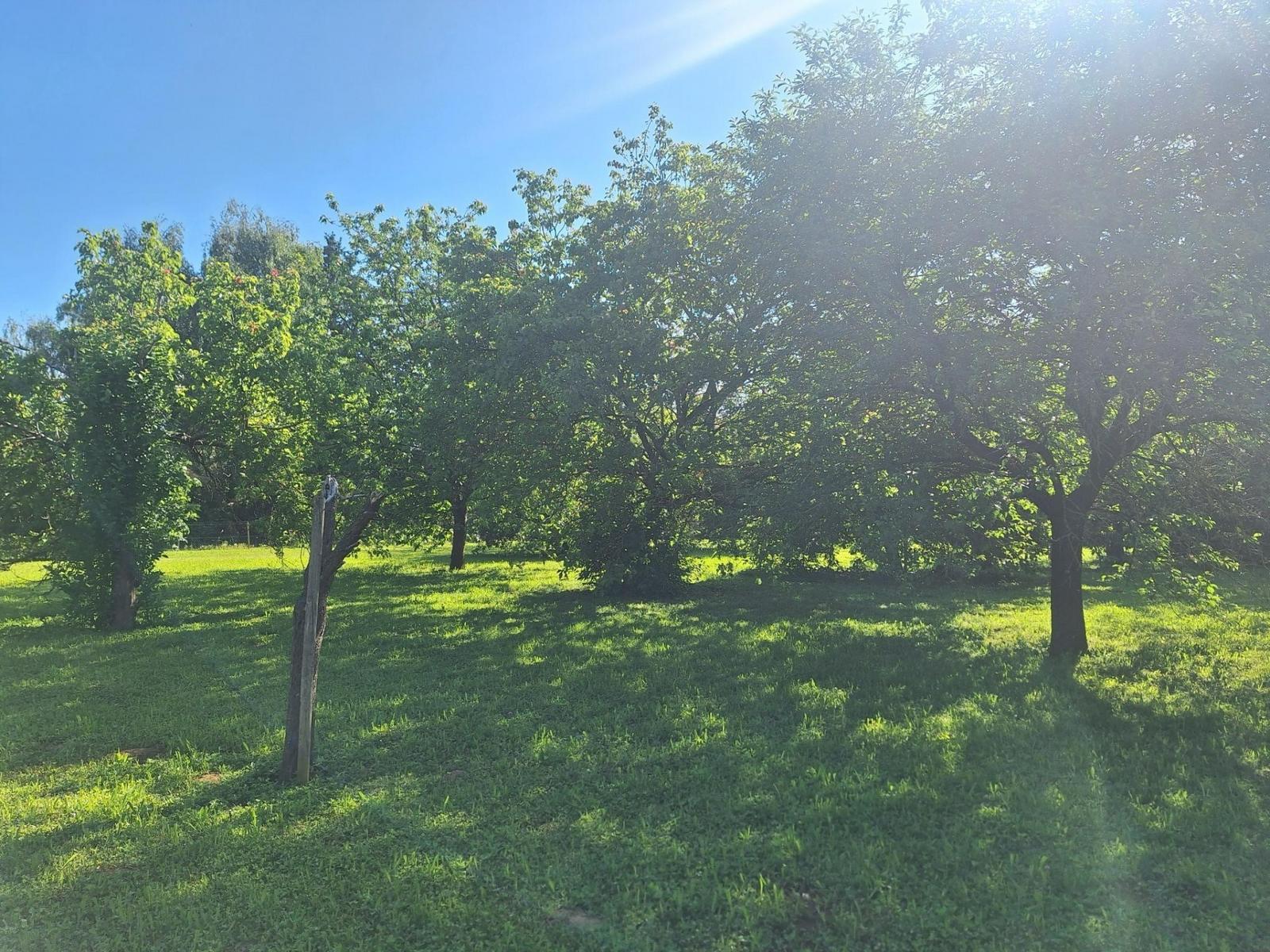 Terrain à vendre Savigné-l'Évêque
