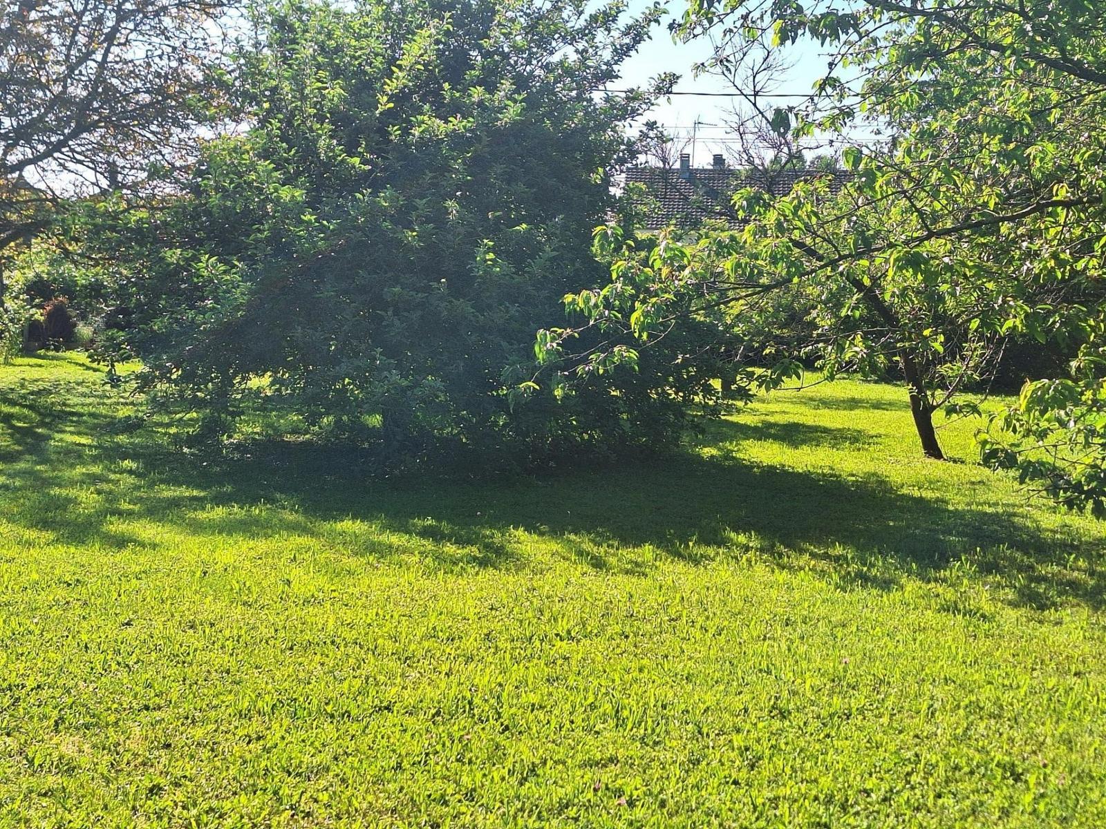 Terrain à vendre Savigné-l'Évêque
