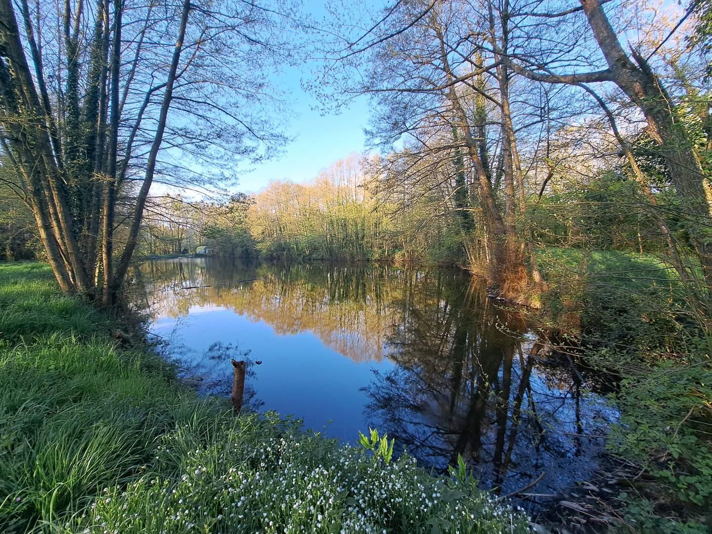 Bien divers à vendre Craon