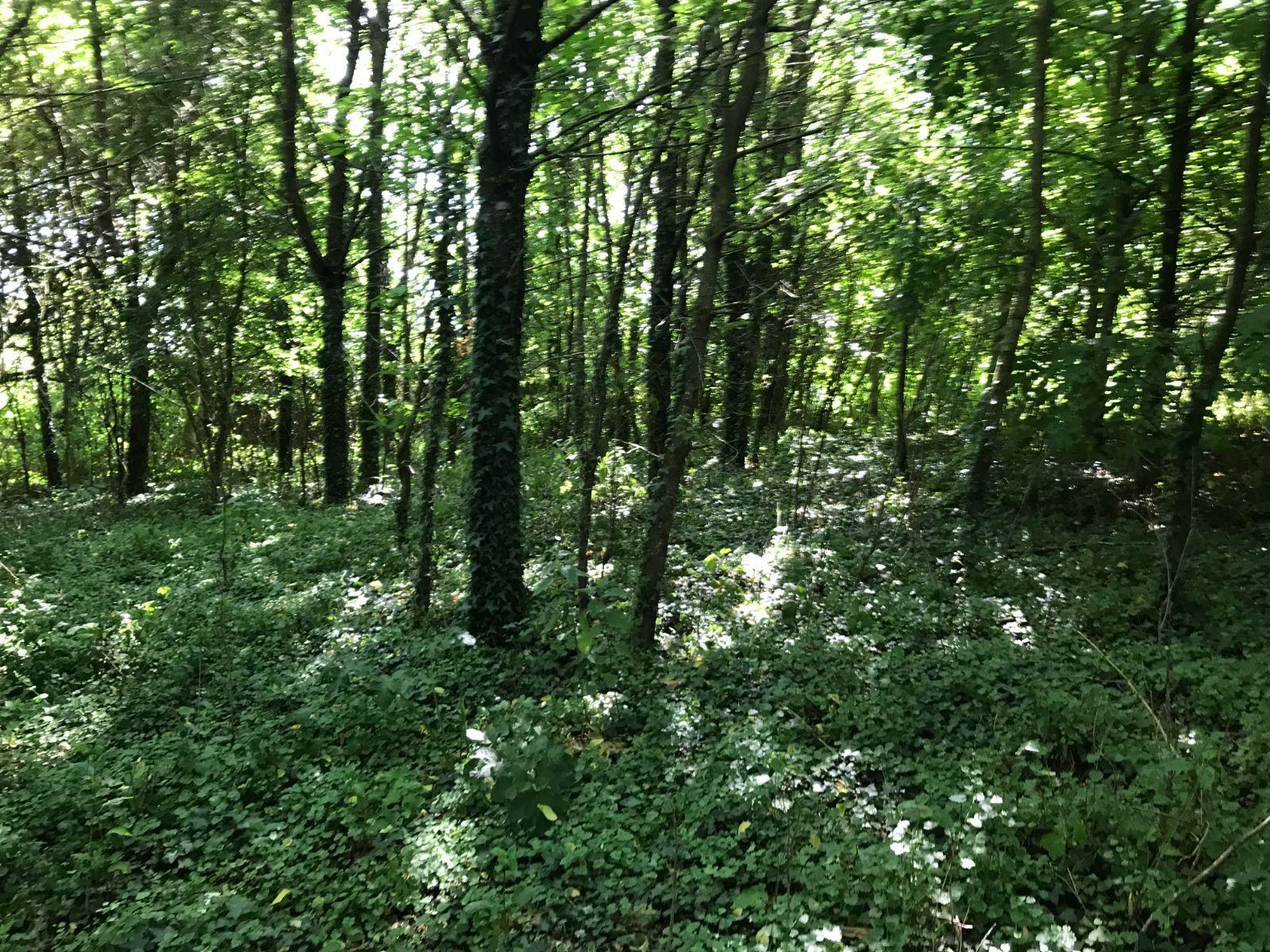 Bien divers à vendre Prévelles