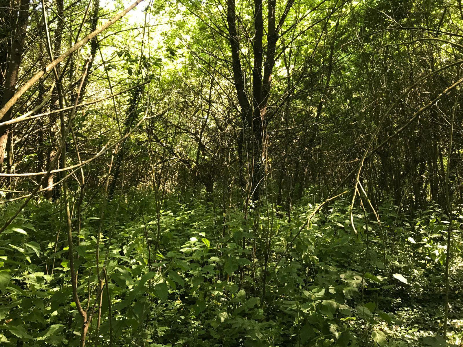 Bien divers à vendre Prévelles