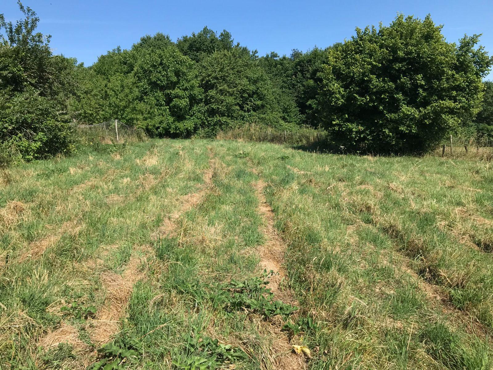 Bien divers à vendre Prévelles