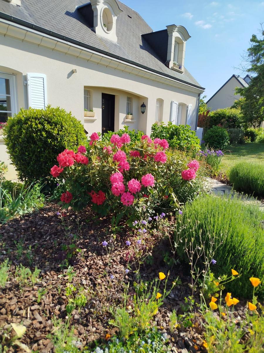 Maison à vendre Savigné-l'Évêque