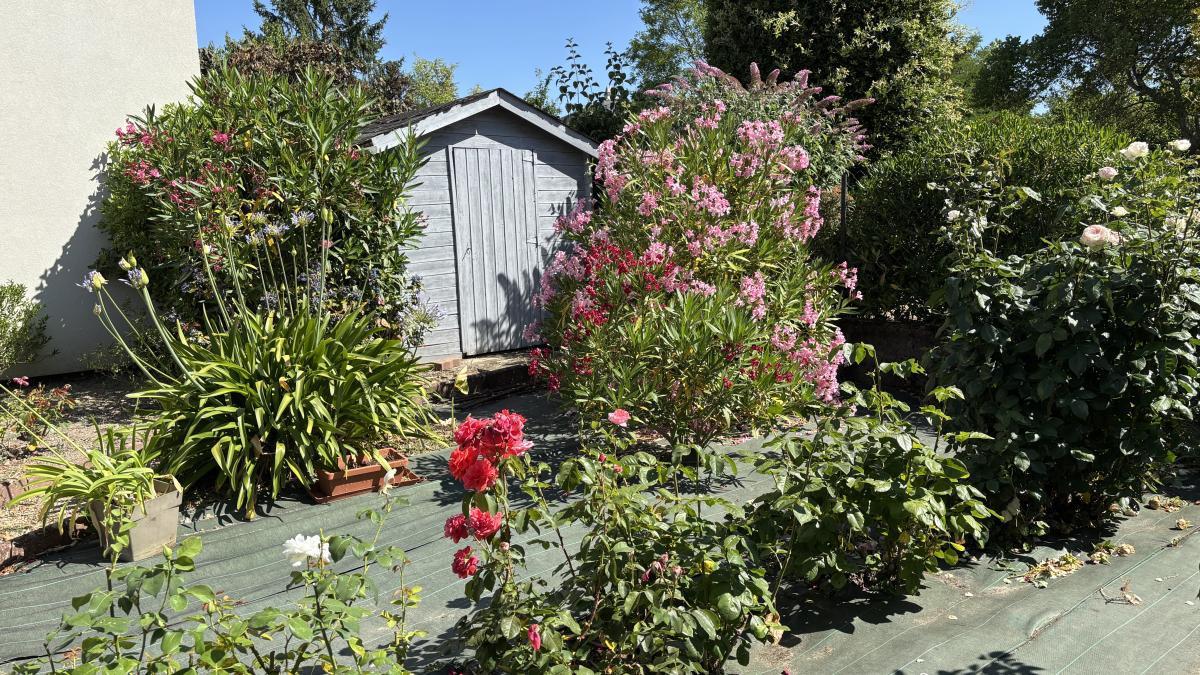 Maison à vendre Sainte-Gemmes-sur-Loire