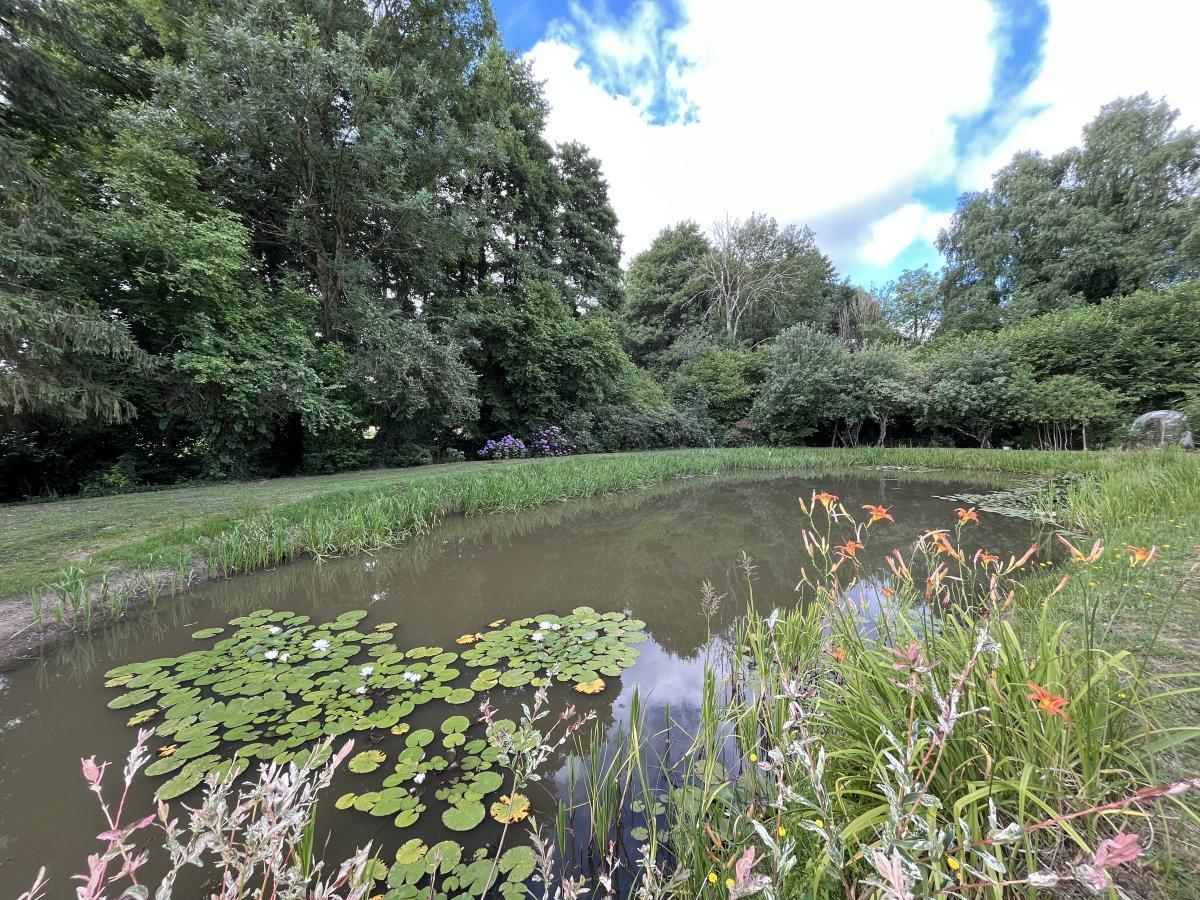 Bien divers à vendre Volnay